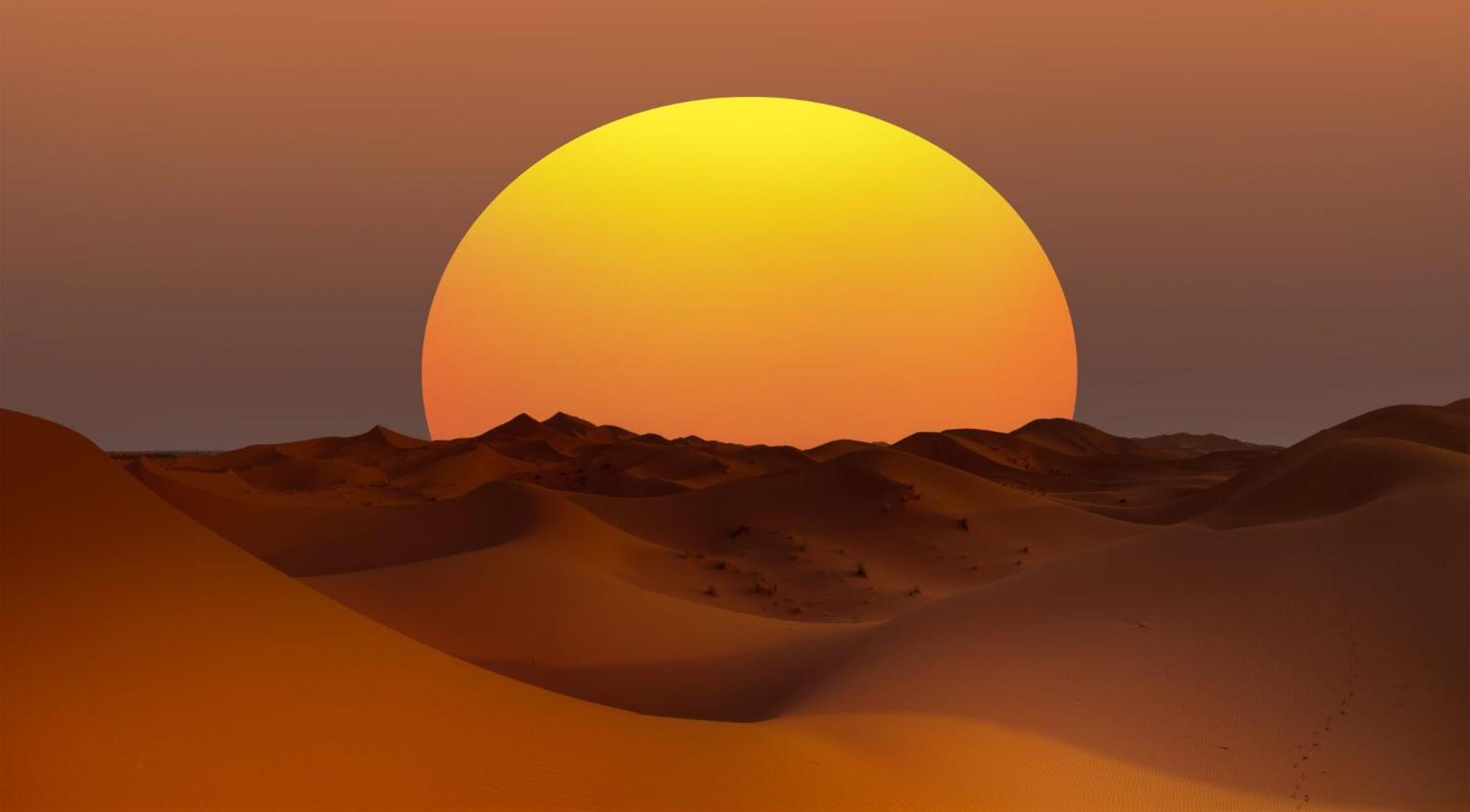 Desert Camel Trek Merzouga Zewnętrze zdjęcie