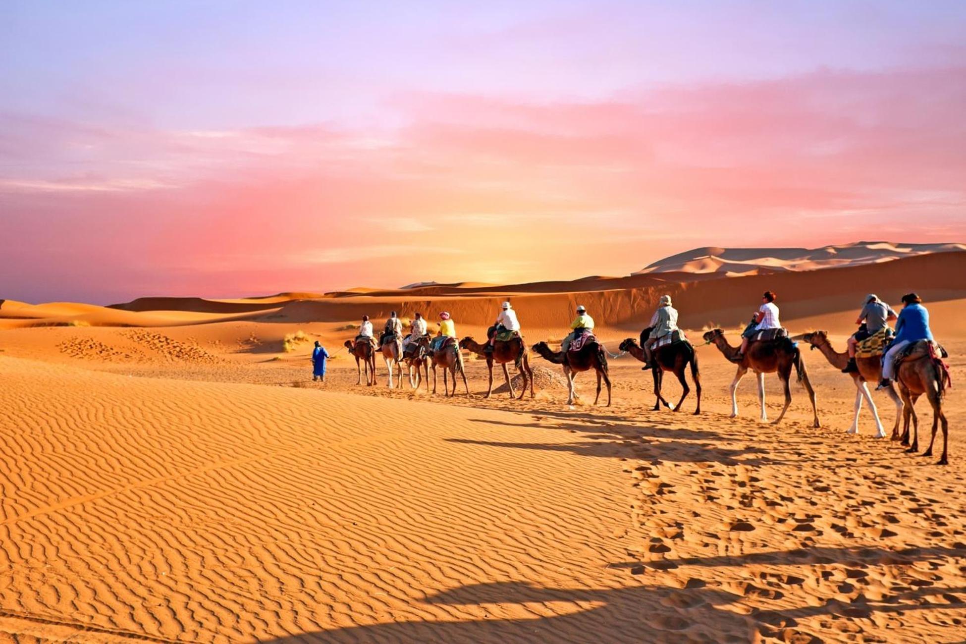 Desert Camel Trek Merzouga Zewnętrze zdjęcie