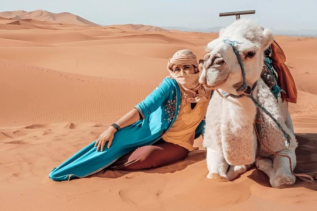 Desert Camel Trek Merzouga Zewnętrze zdjęcie